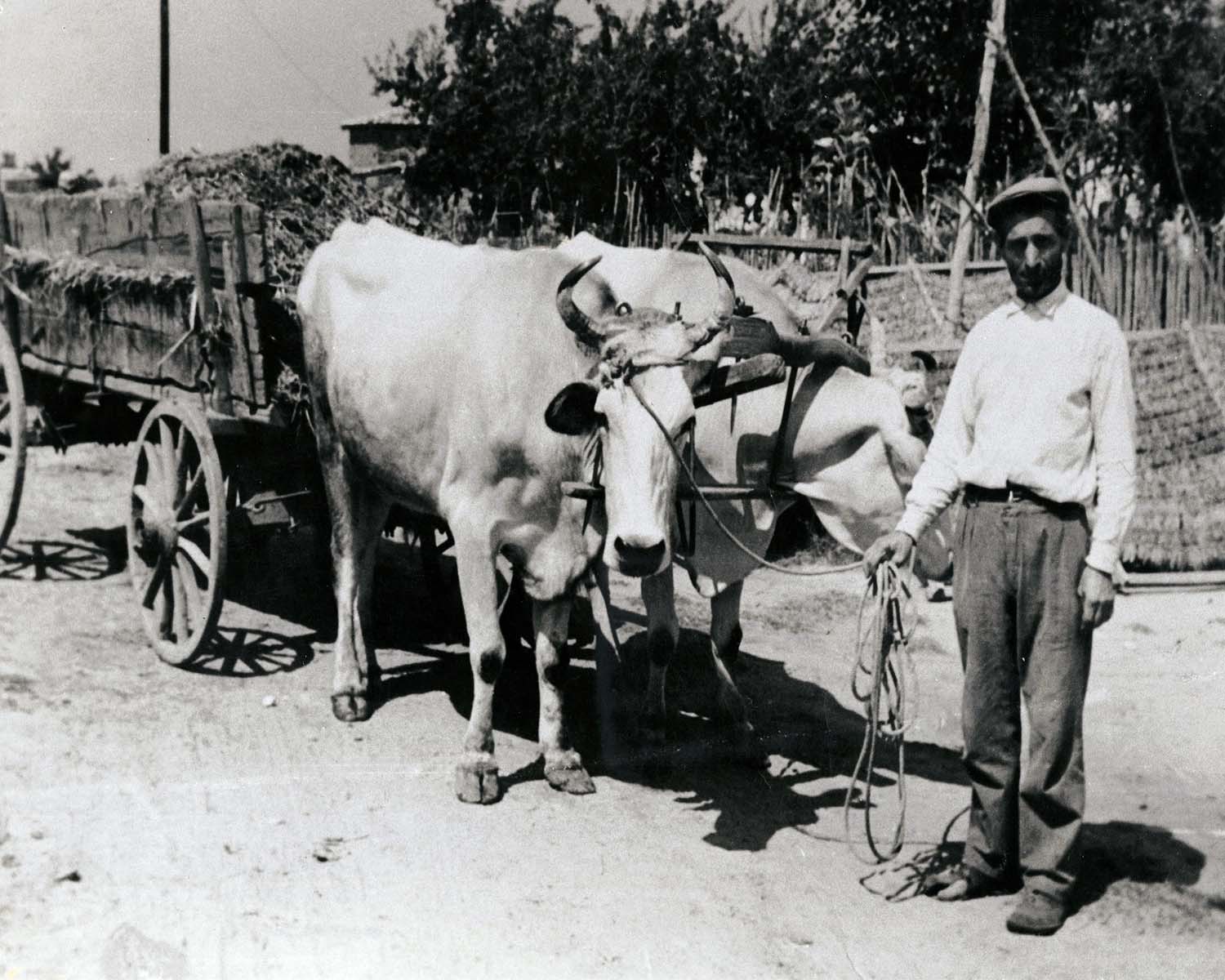 55