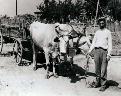 skk030.jpg