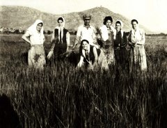 skk032.jpg