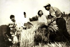 skk035.jpg