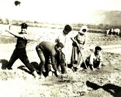 skk047.jpg
