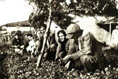 skk048.jpg
