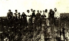 skk051.jpg